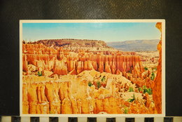 CP, ETATS UNIS, Utah - Bryce Canyon National Park - View From Navajo Loop Trail - Bryce Canyon