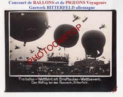 FREIBALLON-WETTFAHRT Mit BRIEFTAUBEN-Gaswerk BITTERFELD-Pigeons Voyageurs-BALLON-Allemagne-Carton Allemand Epais De Pres - Bitterfeld