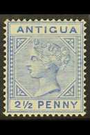 1884 VARIETY 2½d Ultramarine, Wmk Crown CA, Variety "Large 2 In ½ With Slanting Foot" - (Type B), SG 27a, Fine Mint. For - Altri & Non Classificati