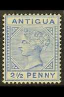 1884 VARIETY 2½d Ultramarine, Wmk Crown CA, Variety "Large 2 In ½ With Slanting Foot" - (Type B), SG 27a, Fine Mint. For - Andere & Zonder Classificatie