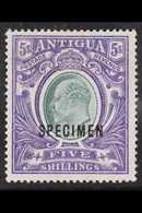 1903-07 (wmk CC) KEVII 5s Grey-green And Violet With "SPECIMEN" Overprint, SG 40s, Fine Mint. Fresh And Attractive. For  - Sonstige & Ohne Zuordnung