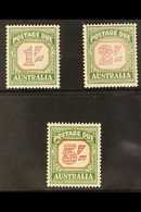 POSTAGE DUE 1953-59 Carmine & Deep Green Set, SG D129a/31a, Never Hinged Mint. Superb (3 Stamps) For More Images, Please - Otros & Sin Clasificación