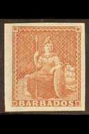 1852 (4d) Brownish Red Britannia, SG 5, Magnificent Mint Copy With Exceptional Margins And Full Og. For More Images, Ple - Barbades (...-1966)