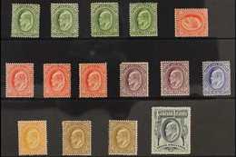 1904-12 KEVII MINT SELECTION Presented On A Stock Card That Includes The 1904-12 Set To 3s Green, SG 43/49, Plus Some Ad - Falkland