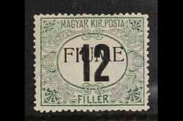 POSTAGE DUE 1918 12f Black & Green Overprint (Sassone 2, SG D30), Fine Mint, Very Fresh, With Raybaudi Photo-certificate - Fiume