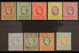 1907-08 Complete Definitive Set, SG 34/42, Fine Mint. (9 Stamps) For More Images, Please Visit Http://www.sandafayre.com - Vide