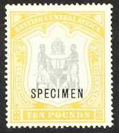 1897-1900 £10 Black And Yellow With "SPECIMEN" Overprint, SG 52s, Very Fine Mint. Lovely! For More Images, Please Visit  - Nyasaland (1907-1953)