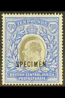 1903-04 £10 Grey And Blue Opt'd "SPECIMEN", SG 67s, Mint Part OG, Very Fresh And Attractive. For More Images, Please Vis - Nyassaland (1907-1953)