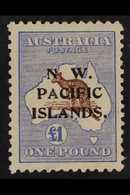 1915-16 £1 Chocolate And Dull Blue 'Roo, SG 99, Fine Fresh Mint. For More Images, Please Visit Http://www.sandafayre.com - Papua-Neuguinea