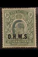 OFFICIAL 1904-05 KEVII 1r Green CC Wmk, Overprinted O.H.M.S, SG O15, Fine Mint. For More Images, Please Visit Http://www - Somaliland (Herrschaft ...-1959)