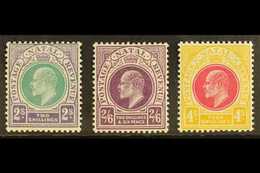 NATAL 1902 2s, 2s 6d & 4s Ed VII Top Values, SG 137/9, Very Fine And Fresh Mint. (3 Stamps) For More Images, Please Visi - Non Classés