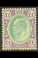 TRANSVAAL 1903 Ed VII £1 Green And Violet, Wmk CA, SG 258, Very Fine Mint. For More Images, Please Visit Http://www.sand - Ohne Zuordnung