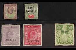 SPECIMENS QV To Geo VI Selection With 1887 1½d Jubilee, 2d Jubilee "Govt Parcels", Ed VII 2s 6d And 5s And Geo VI 2s 6d  - Sonstige & Ohne Zuordnung