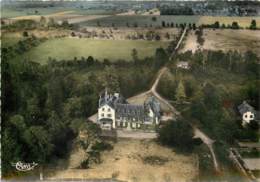 ENVIRONS DE NOGENT SUR VERNISSON CHATEAU DES ORMES VUE AERIENNE - Autres & Non Classés