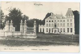 Wijnegem - Wyneghem - Château "Le Belvédère - 1905 - REPRO - Wijnegem