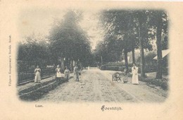 Soestdijk, Laan - Soestdijk