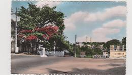 Cameroun Douala Vue Sur La Cathédrale - Cameroun