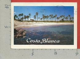 CARTOLINA VG SPAGNA - COSTA BLANCA - Torrevieja - 10 X 15 - 19?? - Alicante