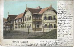 1904 - Bad Tatzmansdorf , Gute Zustand, 2 Scan - Oberwart