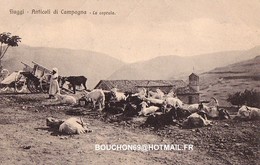 Italie - Fiuggi _ Anticoli Di Campagna - La Capraia Goat Capre - Frosinone