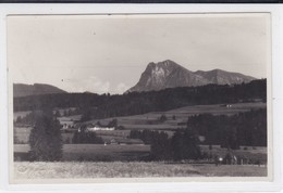 Vuadens, Les Colombettes Et Le Moléson, Carte-photo - Vuadens