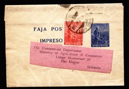 A6485) Argentinien Argentina Uprated Wrapper To Netherlands - Covers & Documents