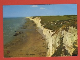 Delcampe - CP 76 BERNEVAL  21  Année 1989 - Berneval