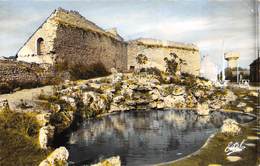 CPSM 45 BEAUGENCY VESTIGES DES REMPARTS - Beaugency