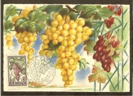 ALGERIE Carte Maximum - Raisins - Tarjetas – Máxima