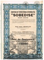 Titre Ancien - Sté Belge Pour L'Entretien De Réseaux De Distribution D'Eau "SODEBISE" - Titre De 1939 - N° 000083 - Eau