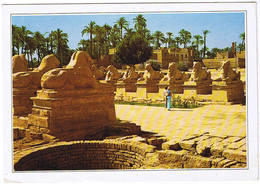 Egypte > Abou Simbel Rock Temple Of Ramses II - Abu Simbel