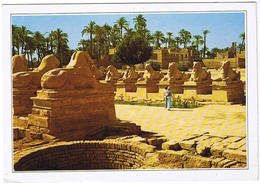 Egypte > Abou Simbel Rock Temple Of Ramses II - Temples D'Abou Simbel
