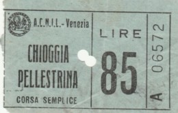 BIGLIETTO BUS CHIOGGIA PELLESTRINA LIRE 85 (BY72 - Europe