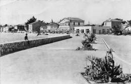 Canet-Plage          66       Boulevard Du Front De Mer. Côté Droit        (voir Scan) - Canet Plage