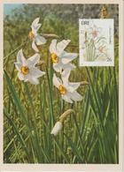 Irlande Carte Maximum Fleurs 1990 Narcisses 732 - Cartoline Maximum