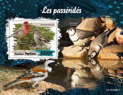 Togo. 2019 Sparrows. (0568b) OFFICIAL ISSUE - Passeri