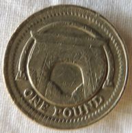 1 Pound 2006 - 1 Pound