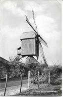 BELGIQUE - GEEL - Molen Gansakker (moulin) - Geel