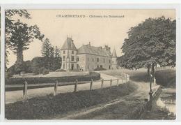 85 Vendée - Chambretaud Chateau Du Boisniard - Other & Unclassified