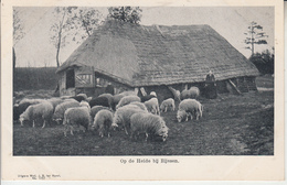 Op De Heide Bij RIJSSEN  PRIX FIXE - Rijssen