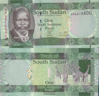 South-Sudan Pick-number: 5 Uncirculated 2011 1 Pound - Soudan