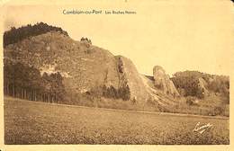 CPA - Belgique - Comblain-au-Pont - Les Roches Noires - Comblain-au-Pont