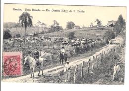 SANTOS - Uma Boiada - Em Osasco Estado De São Paulo - Autres