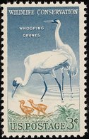Etats-Unis. U.S.A. . 1957  Grue Blanche    Whooping Crane - Grues Et Gruiformes