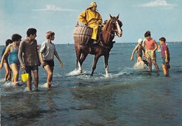 Oostduinkerke, Paardevisser (pk66267) - Oostduinkerke