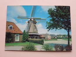 OMMEN > Molen Op Den OORDT +/- 1824 ( Mastrigt En Verhoeven ) Anno 1990 ( Voir / See Photo Details ) ! - Ommen