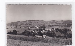 Vuippens, Marsens Et Les Monts - Marsens