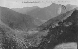 Amélie Les Bains         66          Vue De Montalba Et Pic Du Roc De France     (voir Scan) - Autres & Non Classés