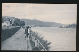 WEPION == PANORAMA DE LA MEUSE VERS NAMUR - Onhaye