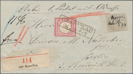 Deutsches Reich - Brustschild: 1872, Innendienstmarke 10 Gr. Gelbgrau + Gr. Schild 1 Gr. Karmin Mit - Unused Stamps